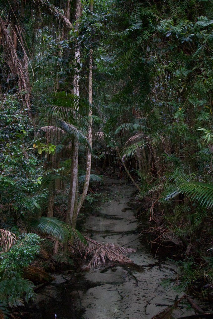 The clear waters of Wanggoolba creek.