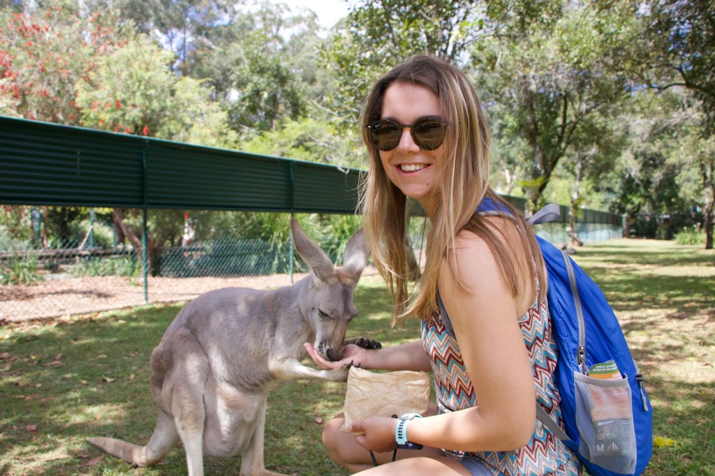 Sarah hand feeding a Kangaroo.