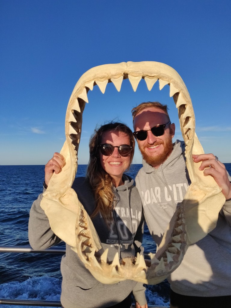 Sarah and George with a fossilised Great White Shark Jaw.