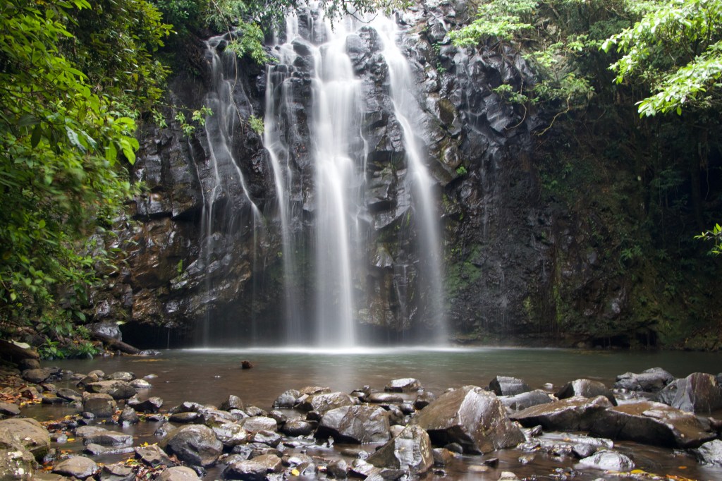 Water flowing down the rocks at Ellinjaa falls into a small pool at the bottom surrounded by rocks and bright green leaves.