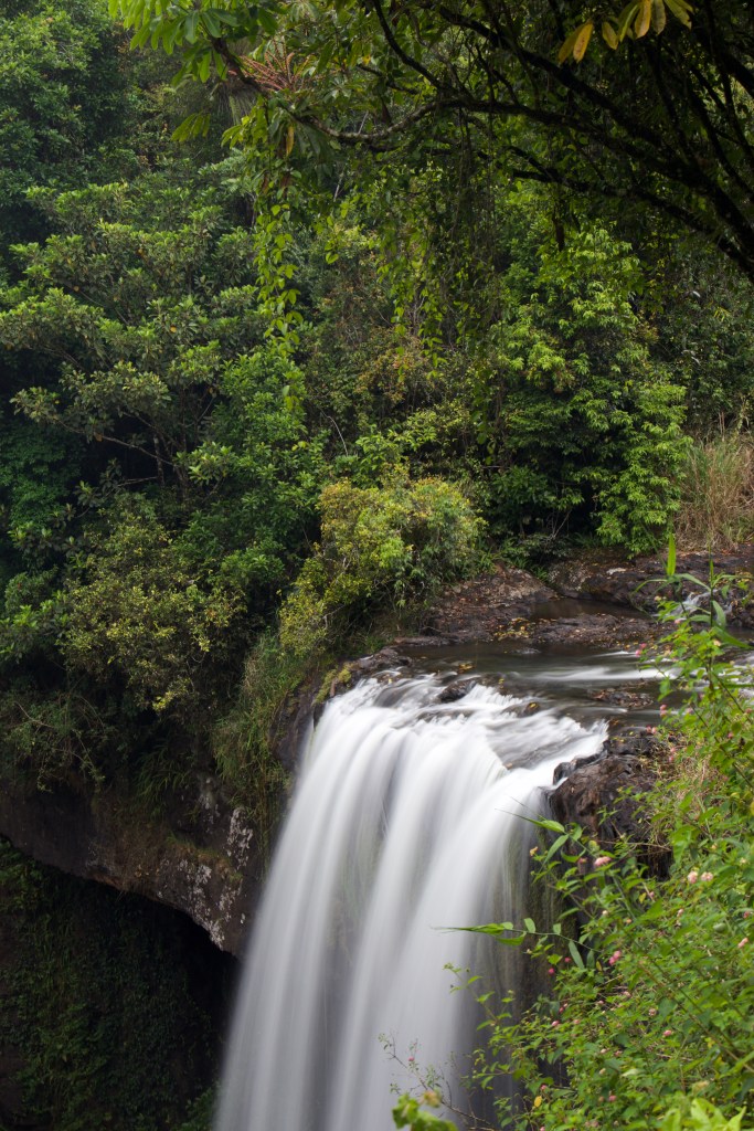 Smooth running water falling from the  top of Zillie falls surrounded by luscious green leaves.
