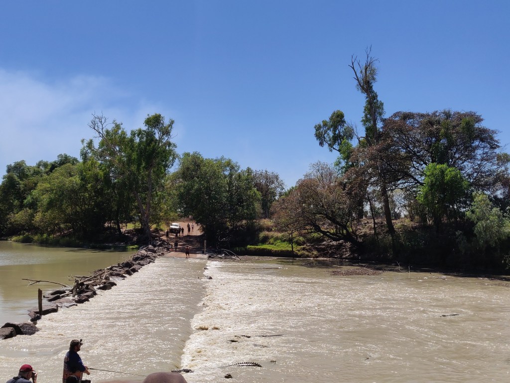 View of water flowing over cahills crossing surrounded by saltwater crocodiles.