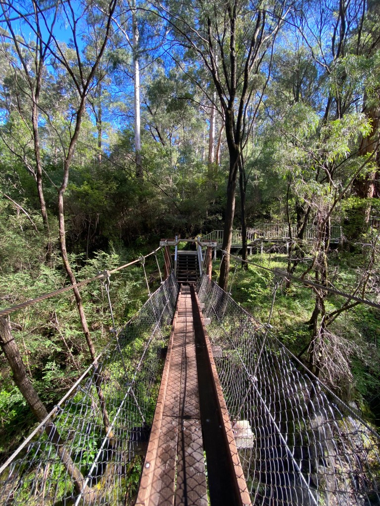 A small and thin suspension bridge joining to the path on the other side.