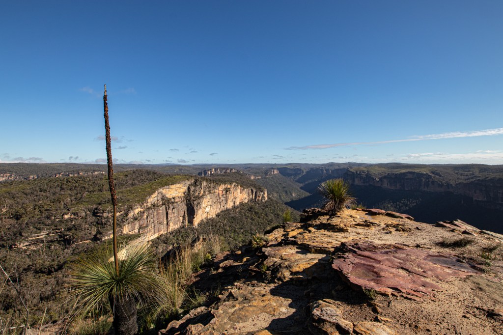Views of the green valley and brittle sandstone cliffs.