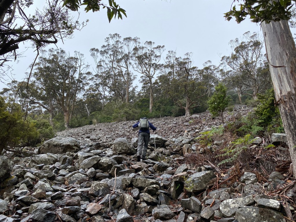 A man climbing up a rocky incline with his walking poles.