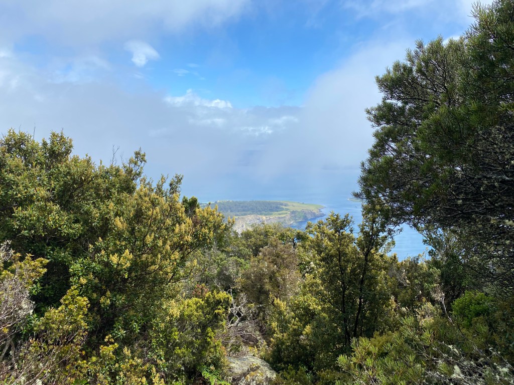 A view over the north of the island framed by the green shrub.