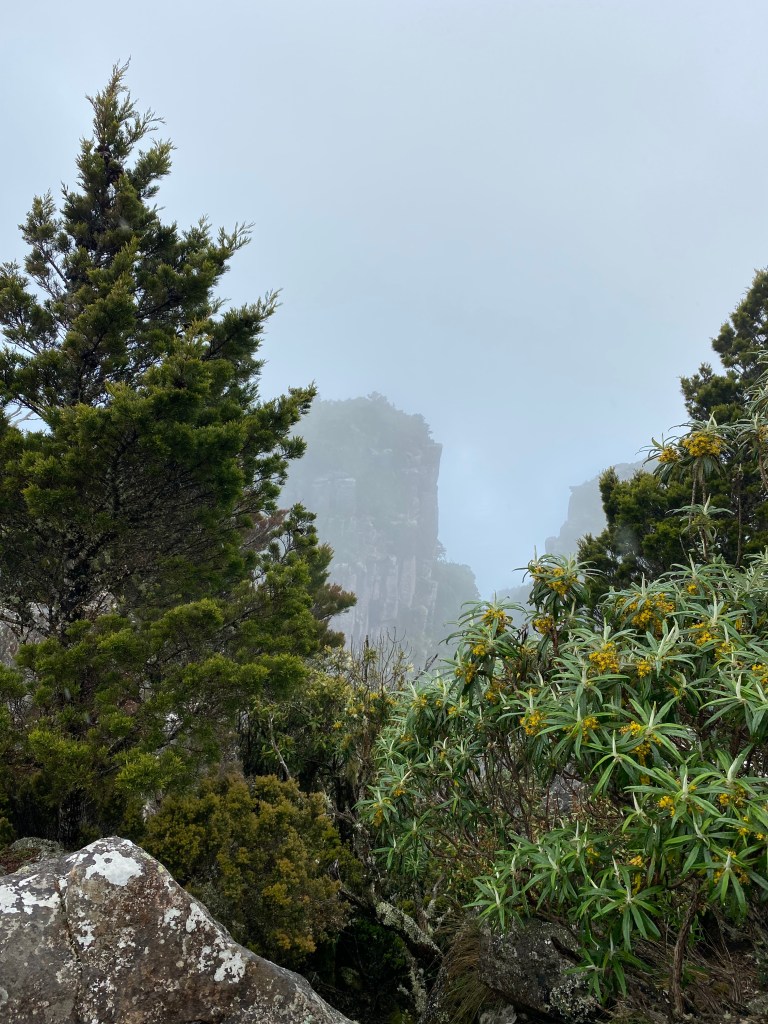 Moody clouds lowering over the dolerite summits surrounded by shrubbery.