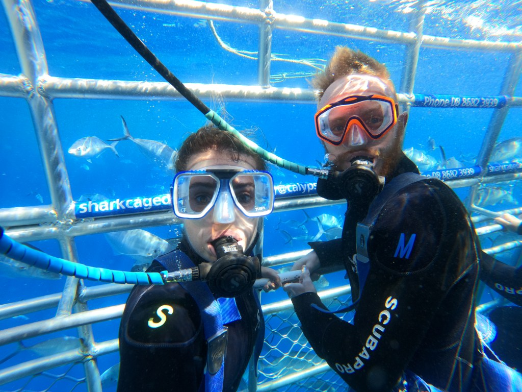 Sarah and George in an underwater cage surrounded by fish.