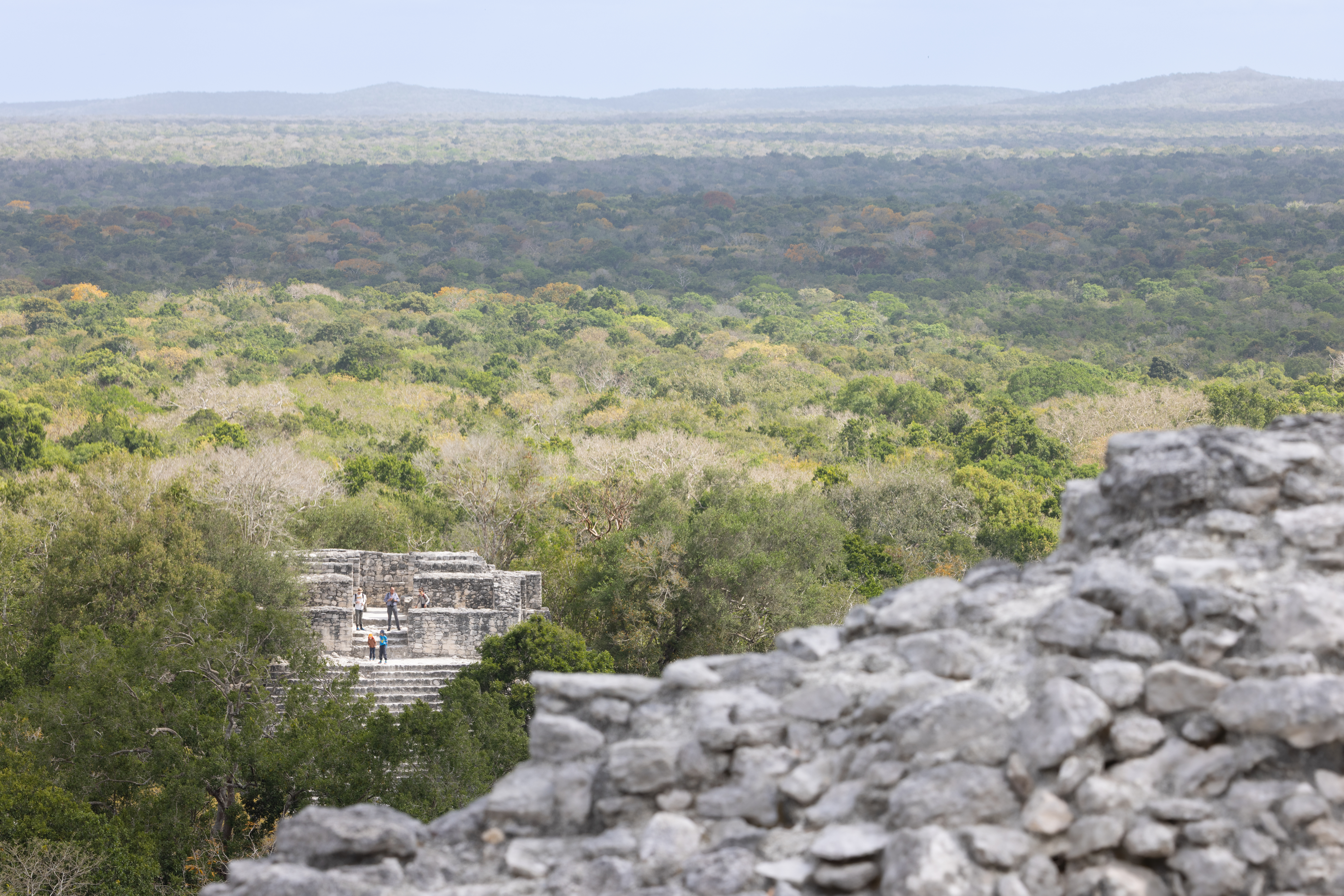 View from the top of a Mayan structure showing another pyramid surrounded by dense jungle.